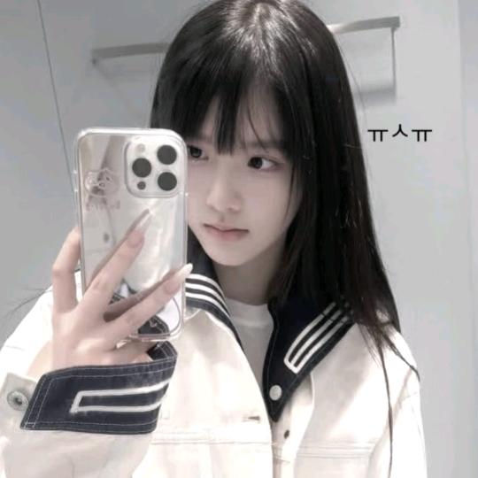 猫猫好