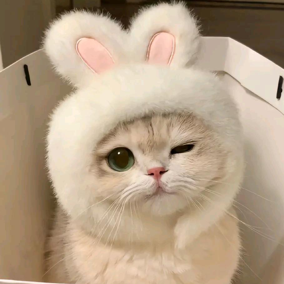 李……