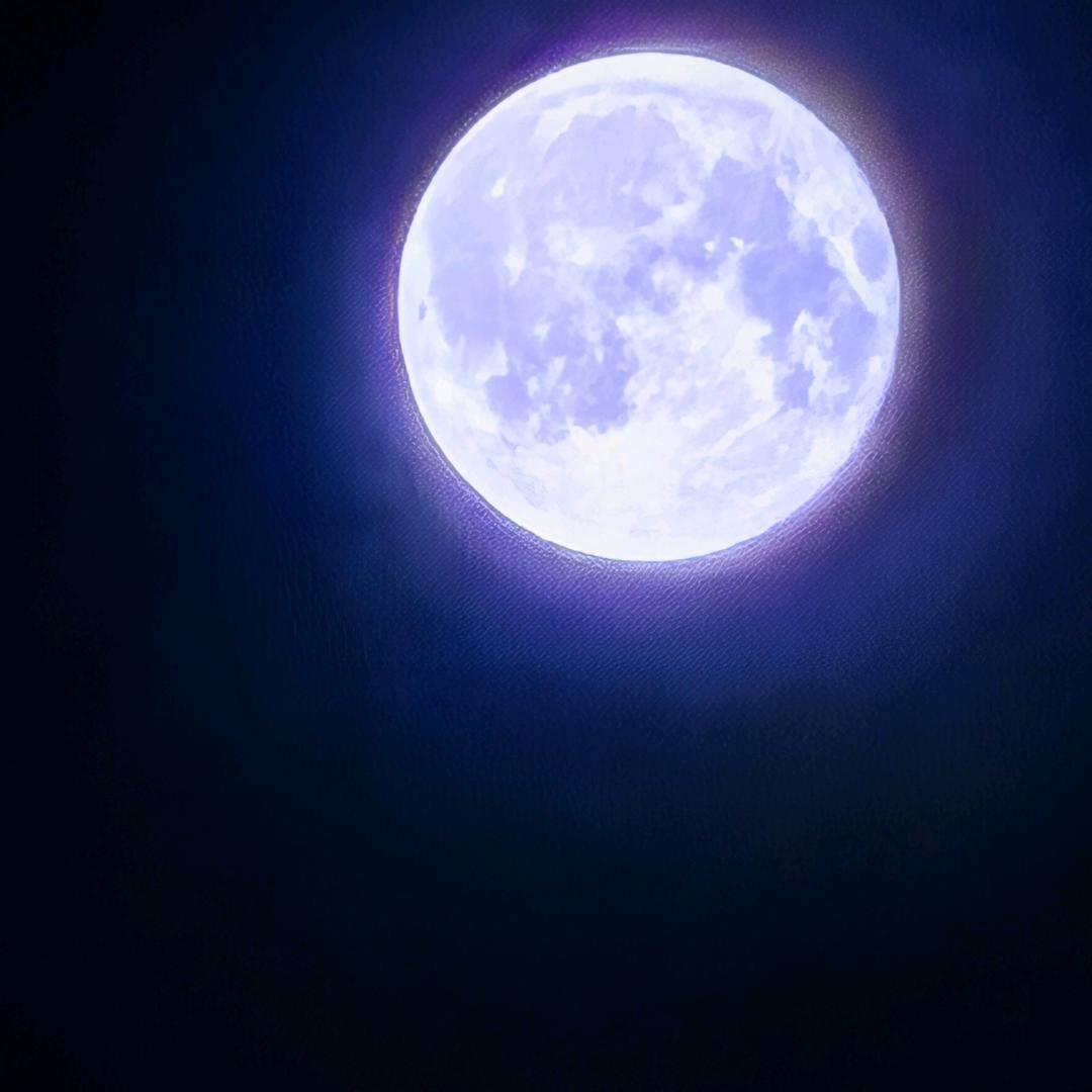 赛里木湖的蚝牛🍇