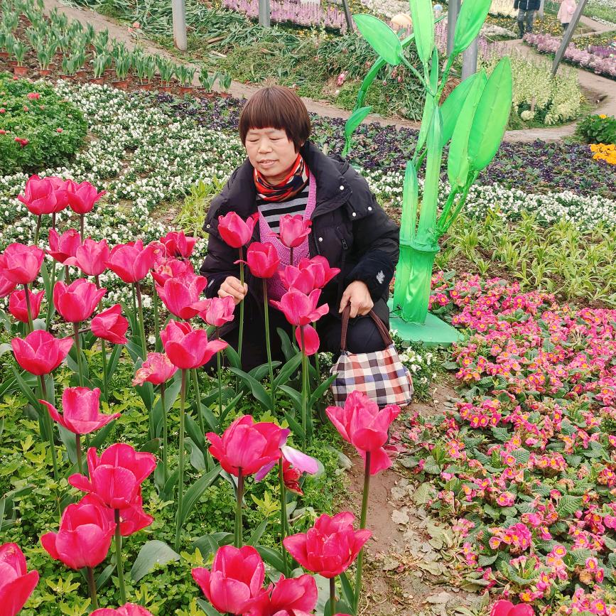 花开花洛几个秋