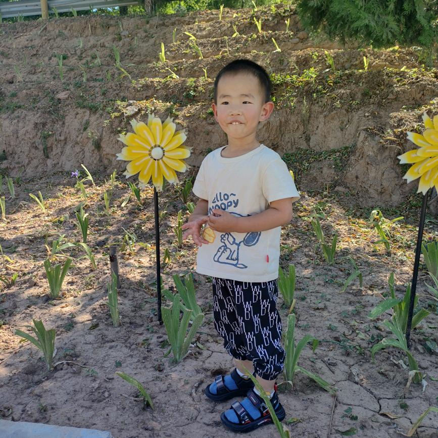 米格兰特竹木门