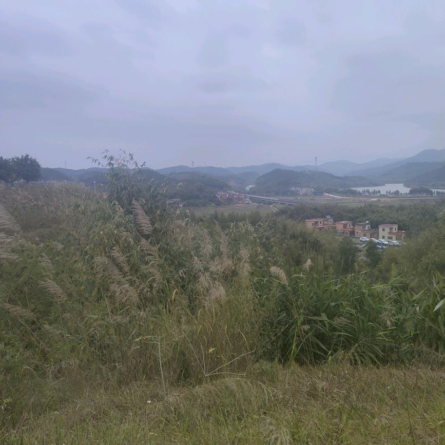 跟你一路