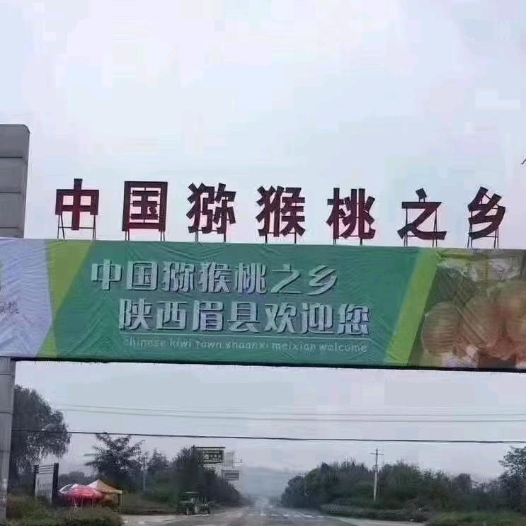 我没惹你