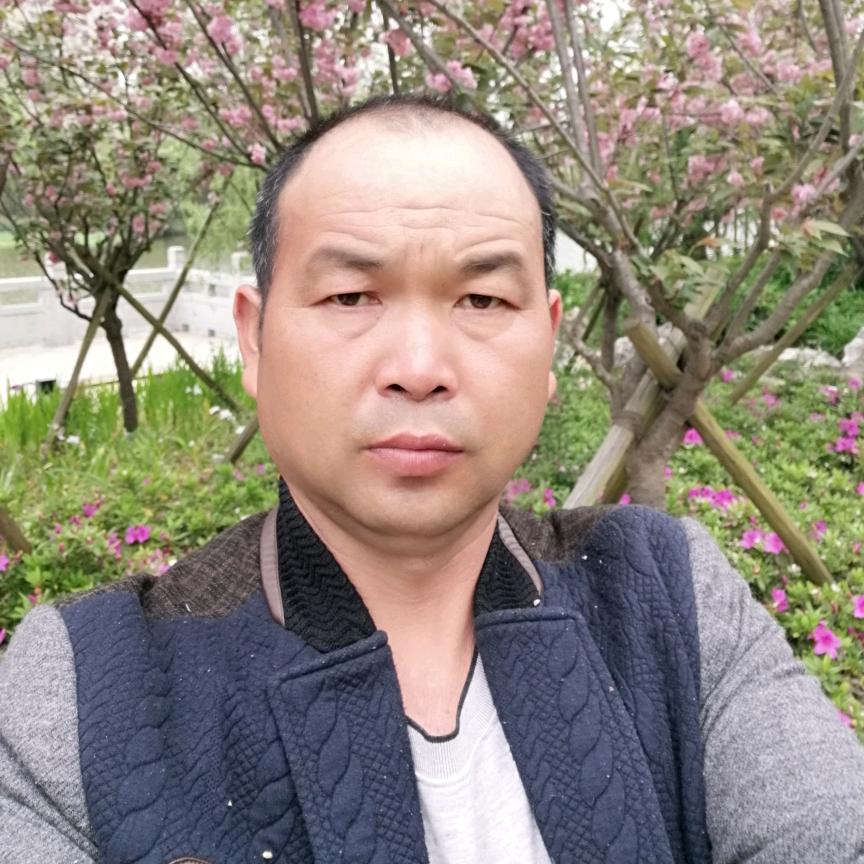 一帆风顺