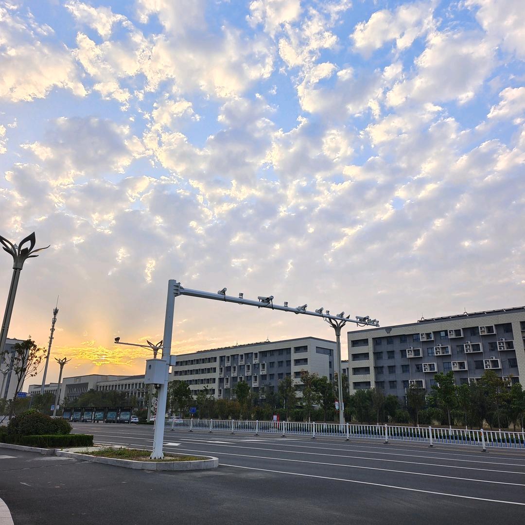 杨杨🏠