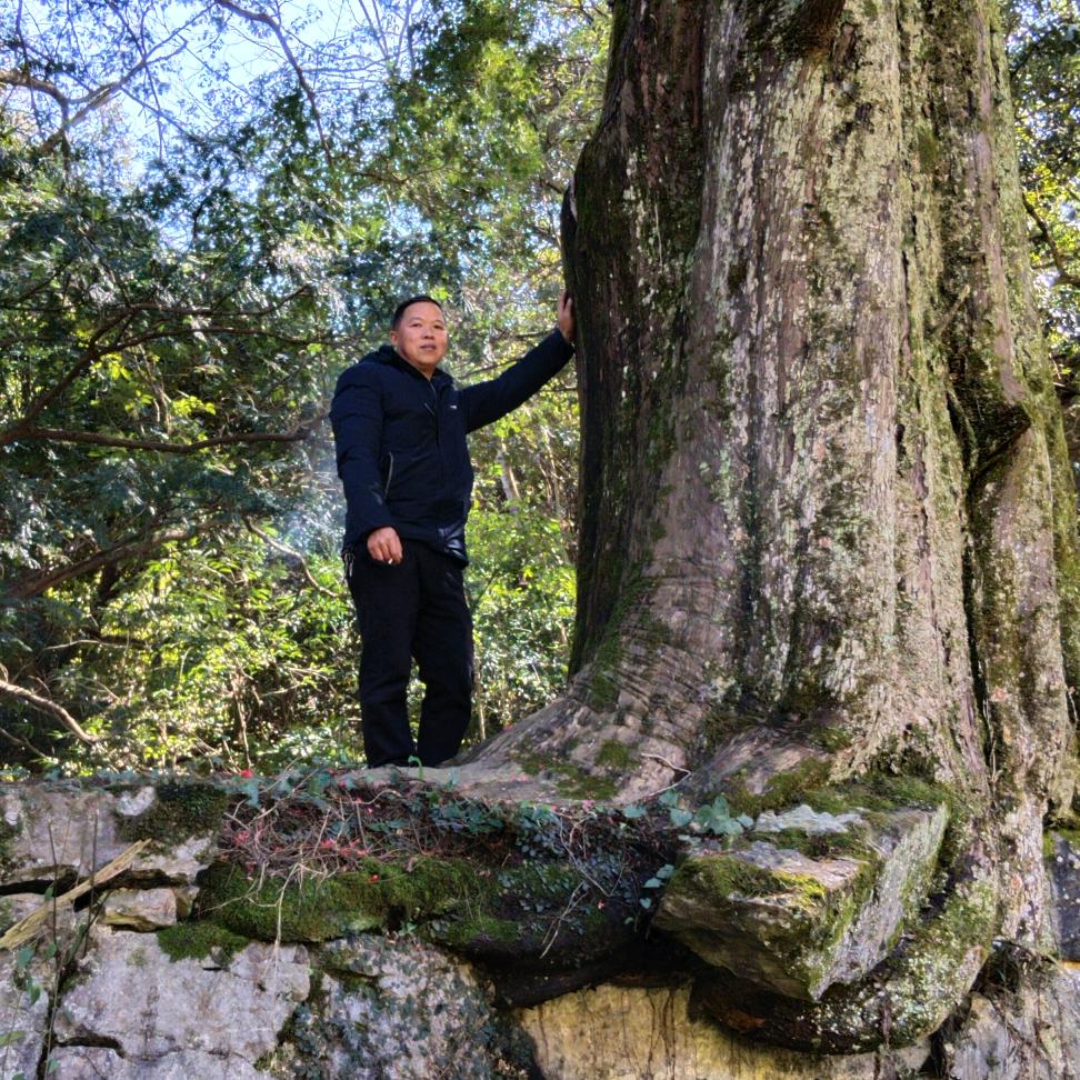 水果哥