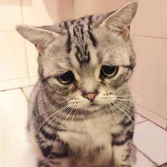 诺诺手