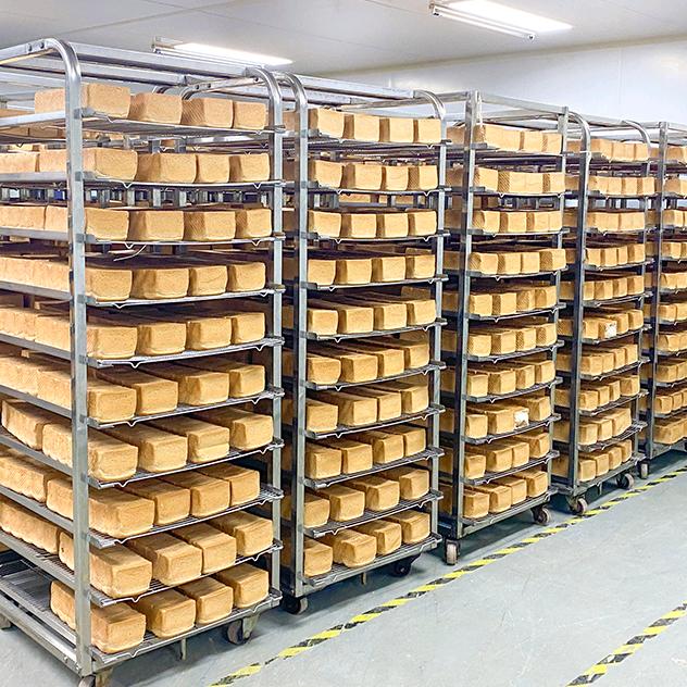 巧司生物科技食品形象