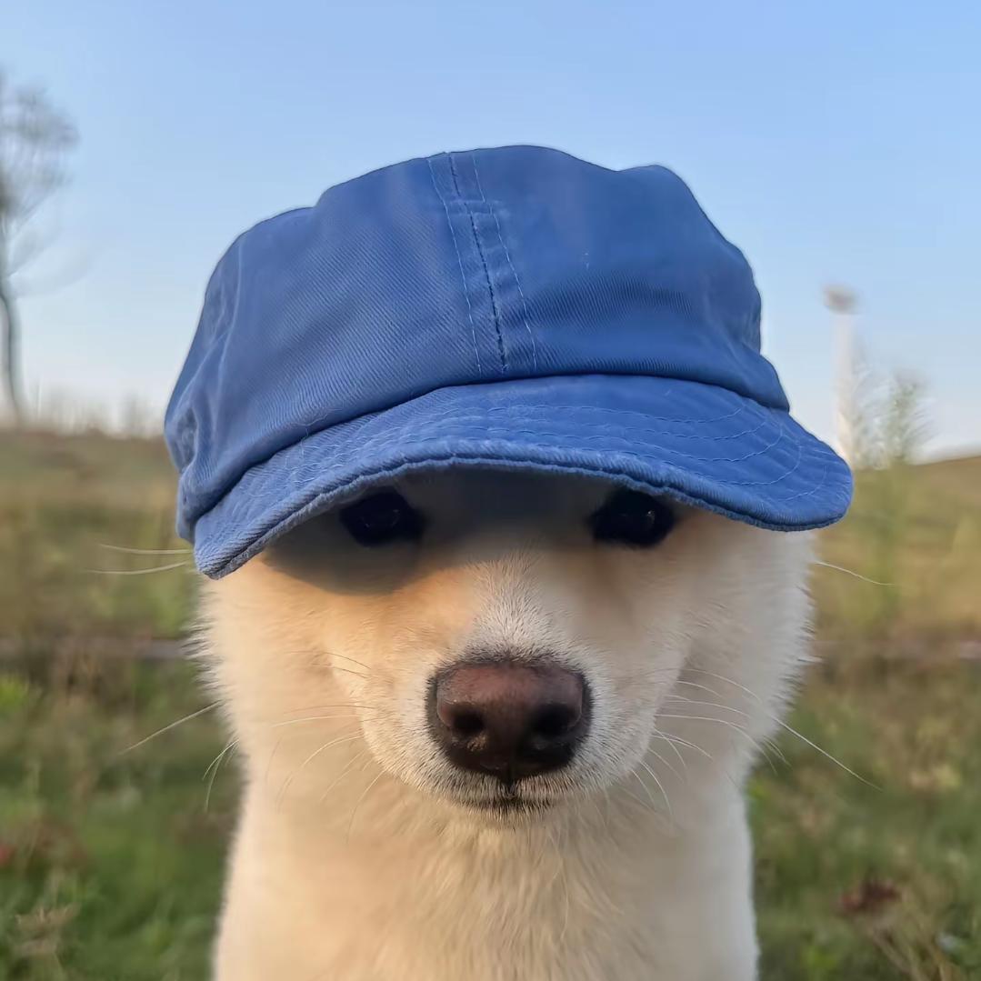 Kowy