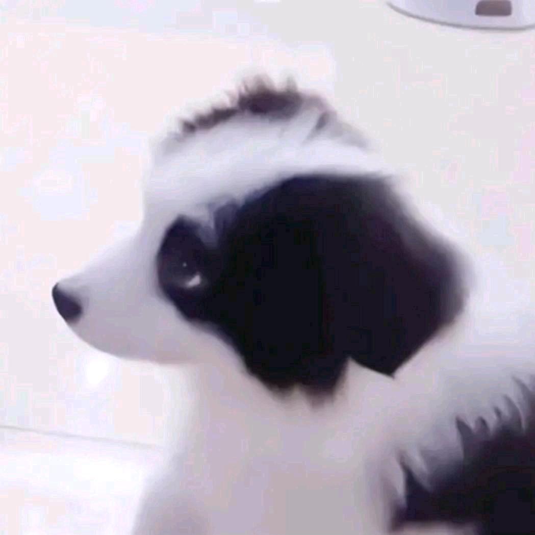 小波Mo（15级噜啦啦～˙Ꙫ˙