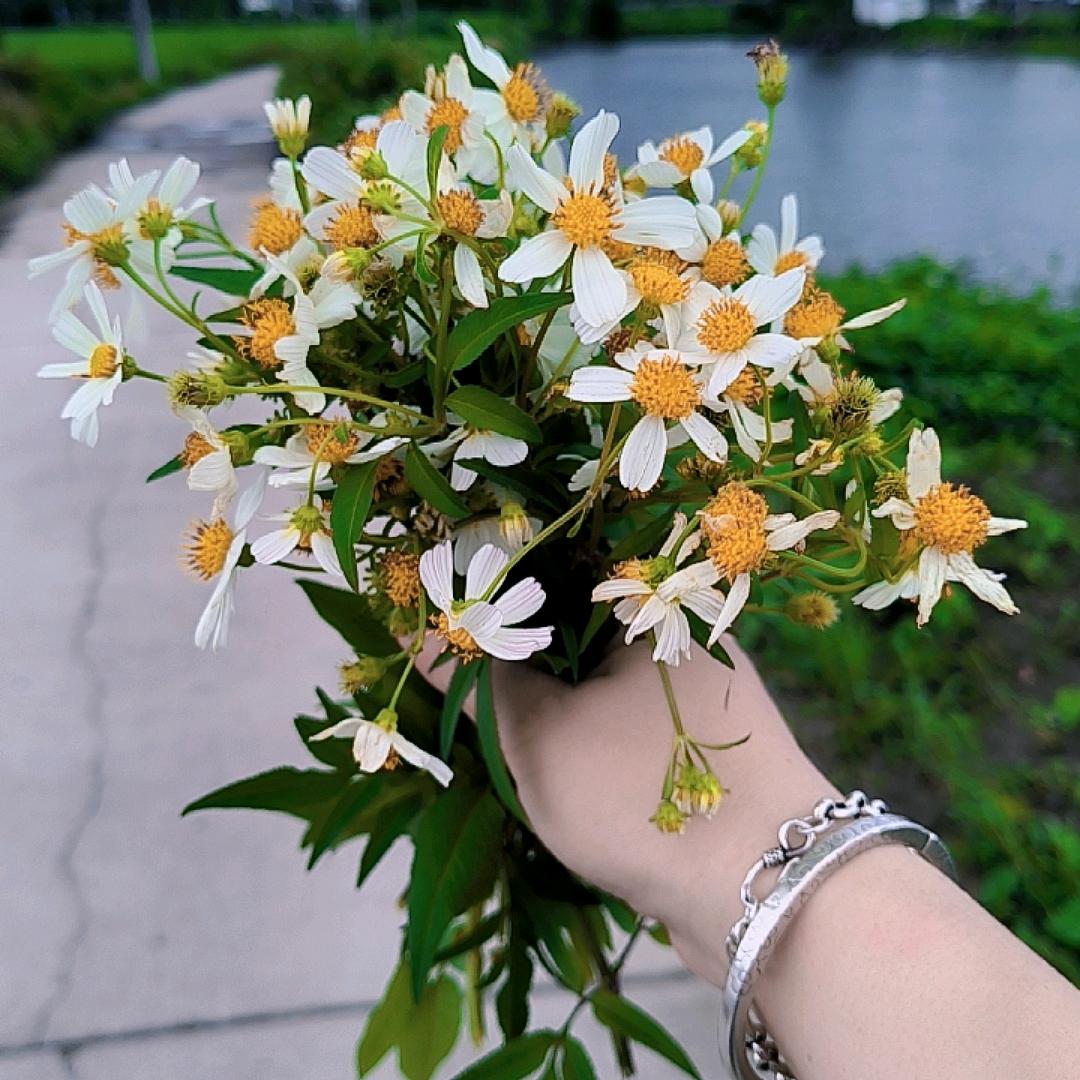 𖧷ɞ͜͡愿李💞所愿໊ഒᩚ