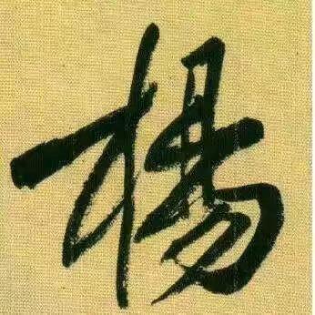 杨先生。