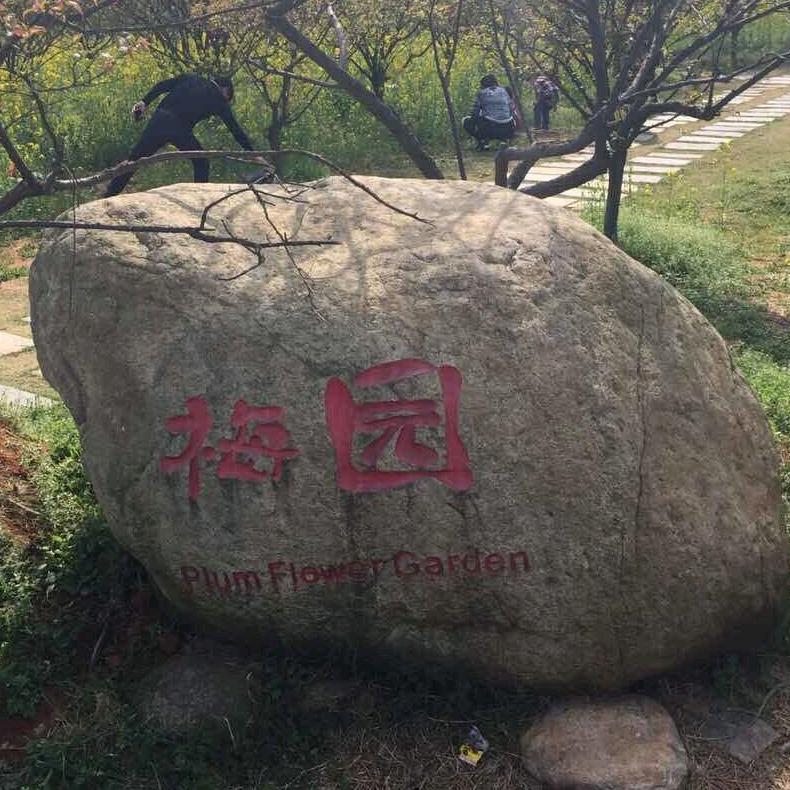 梅园