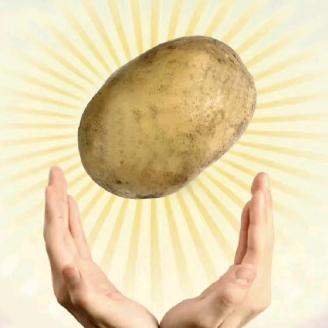 洋芋粑粑海椒面