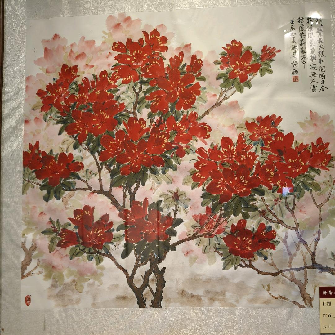 不该说