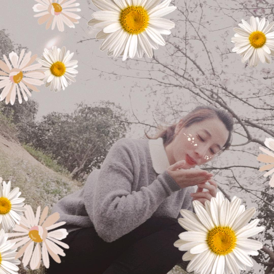 刘夏
