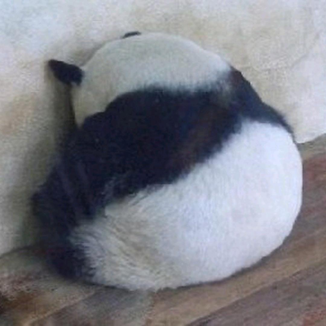 😭