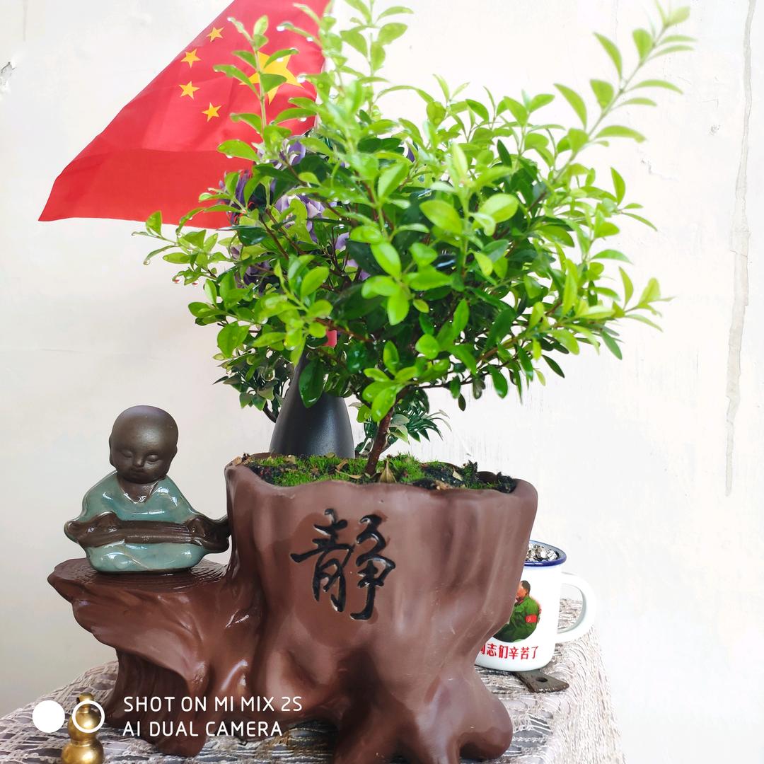 难得糊涂