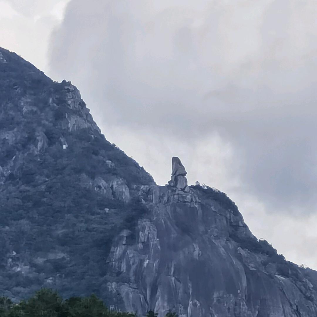 长桥光纤传感器