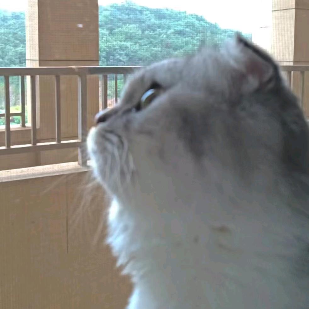 梦旋