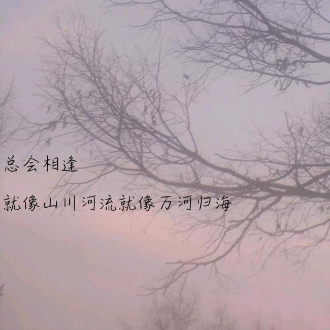 高端鑫蕴小店