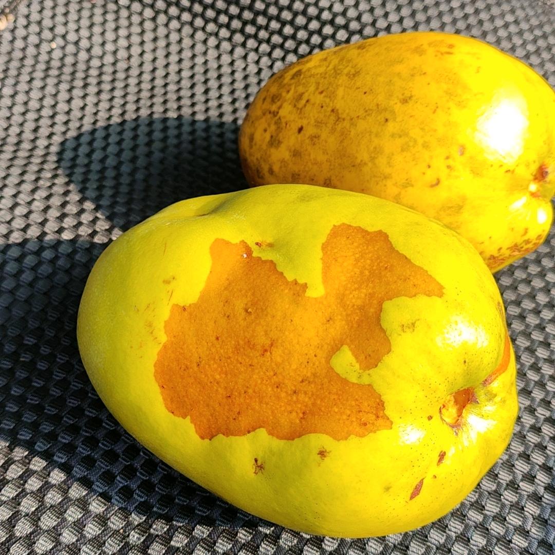 幸福永远不迟到