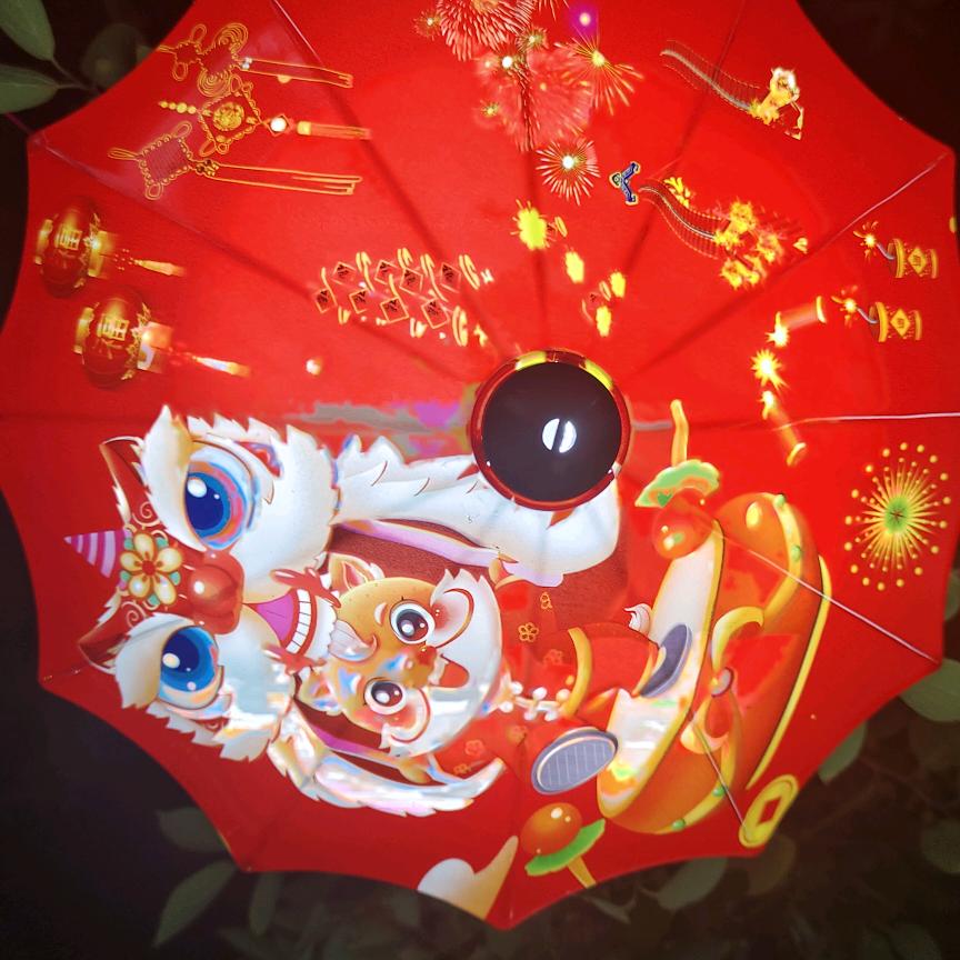 回眸