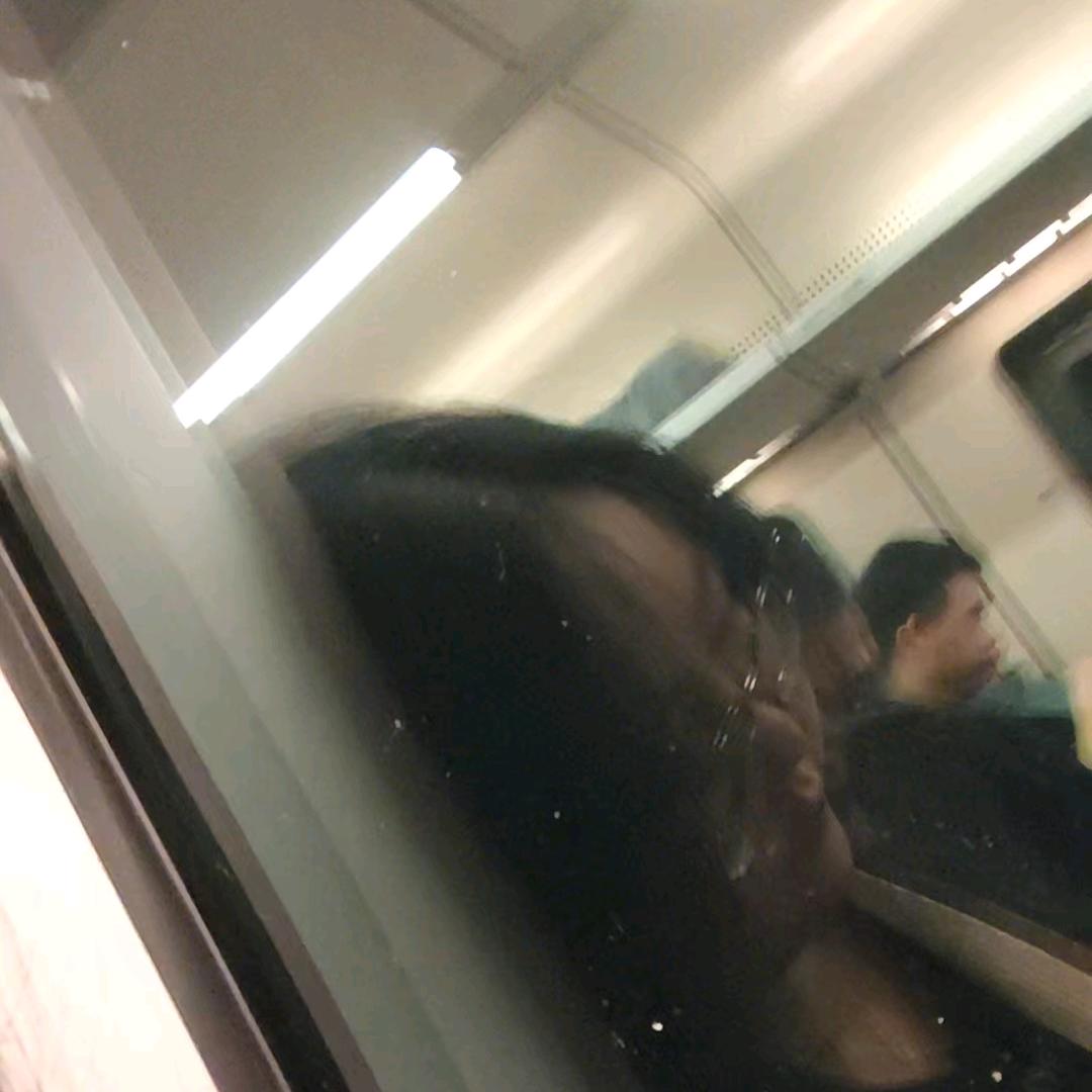 白日梦专家