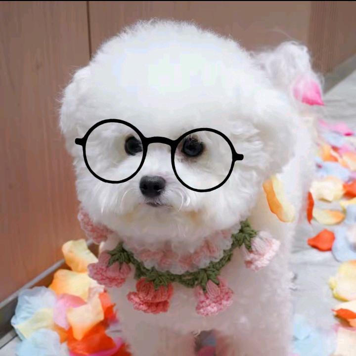 宠物狗舍-