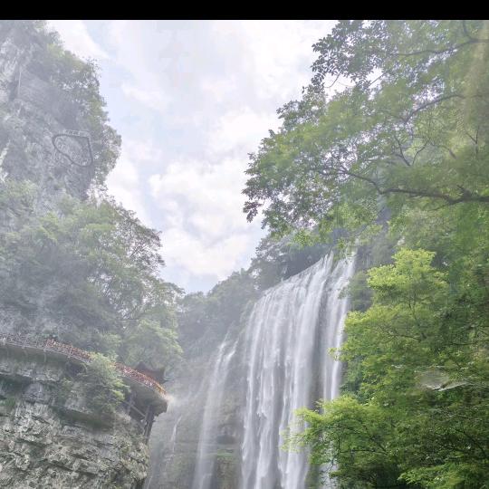晴晴
