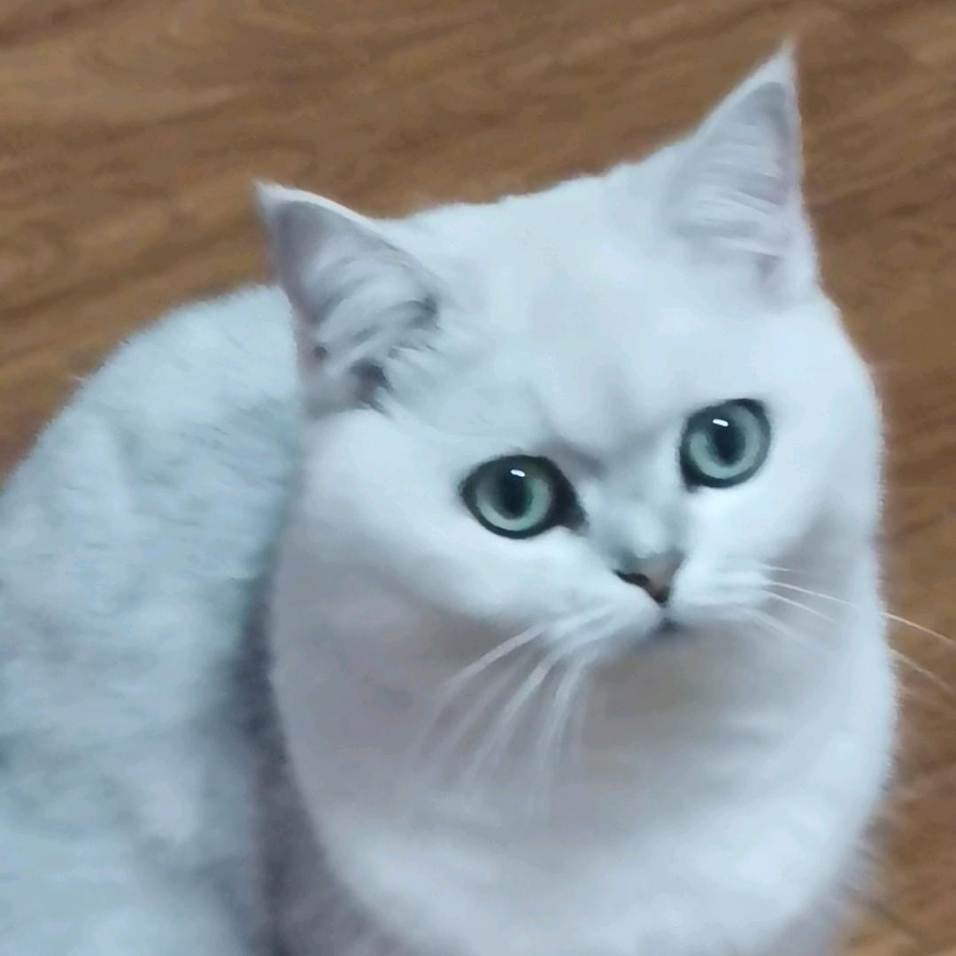 花前独酌