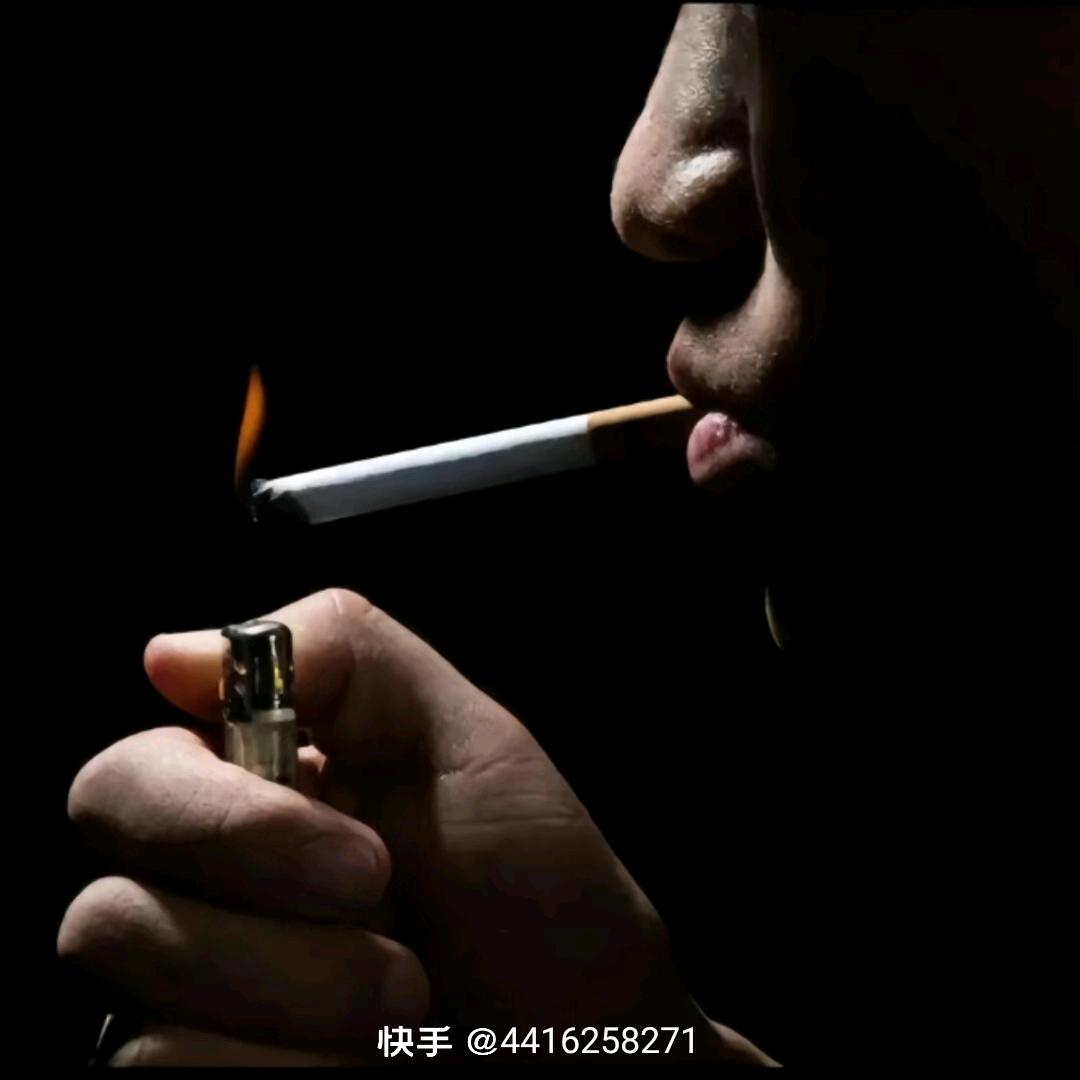 水中月镜中花8875