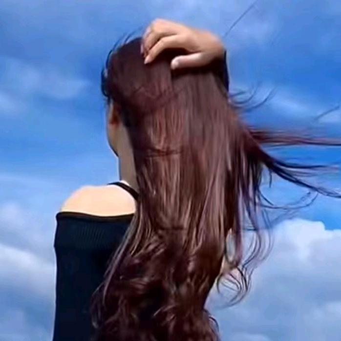 🌼 岁月如歌 🎶