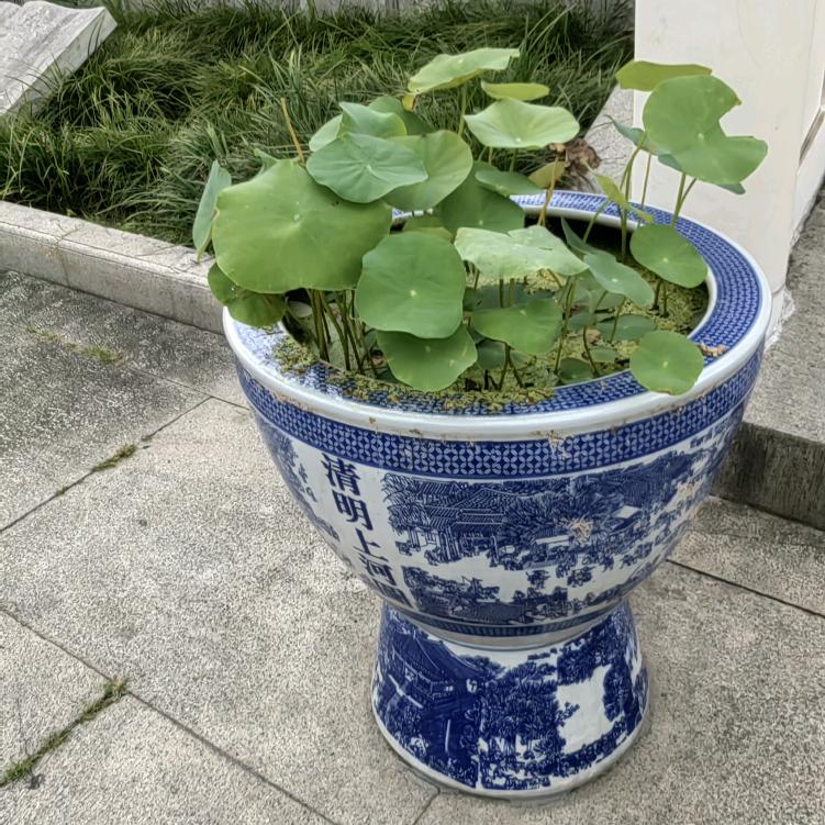 快