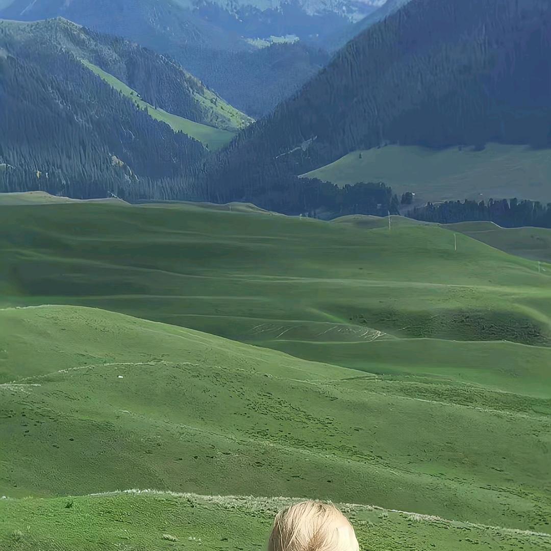 大会理网平安云微团队