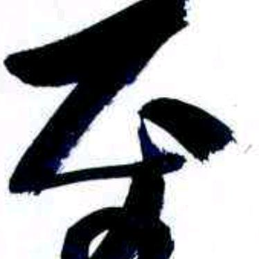 沒開花的花