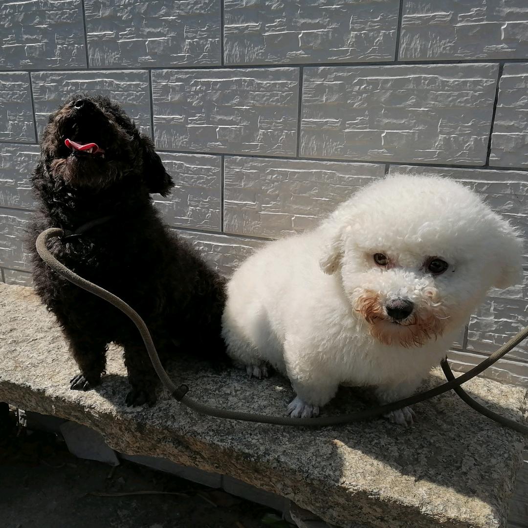 顺顺利利（唯）