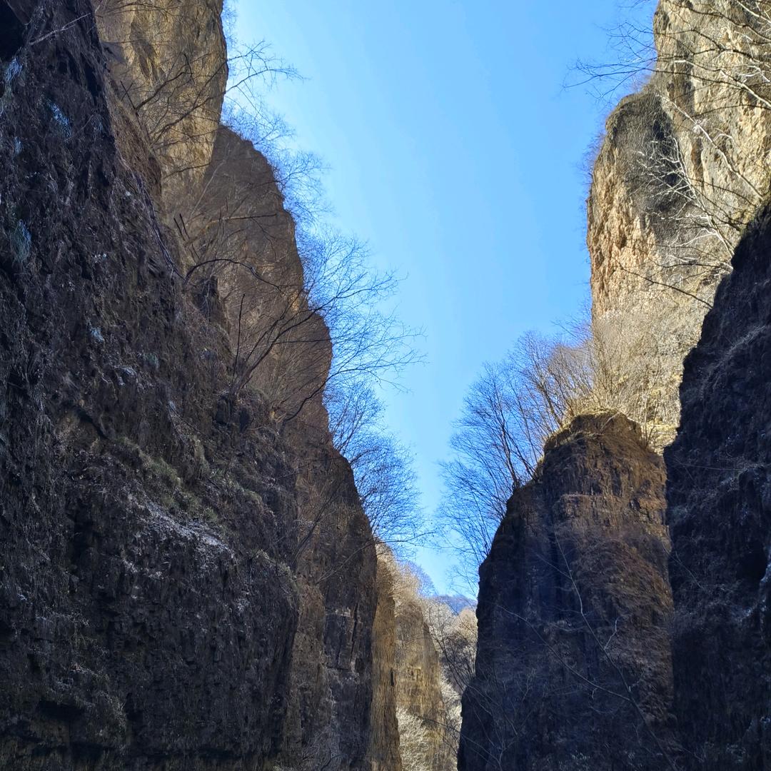 一生有李