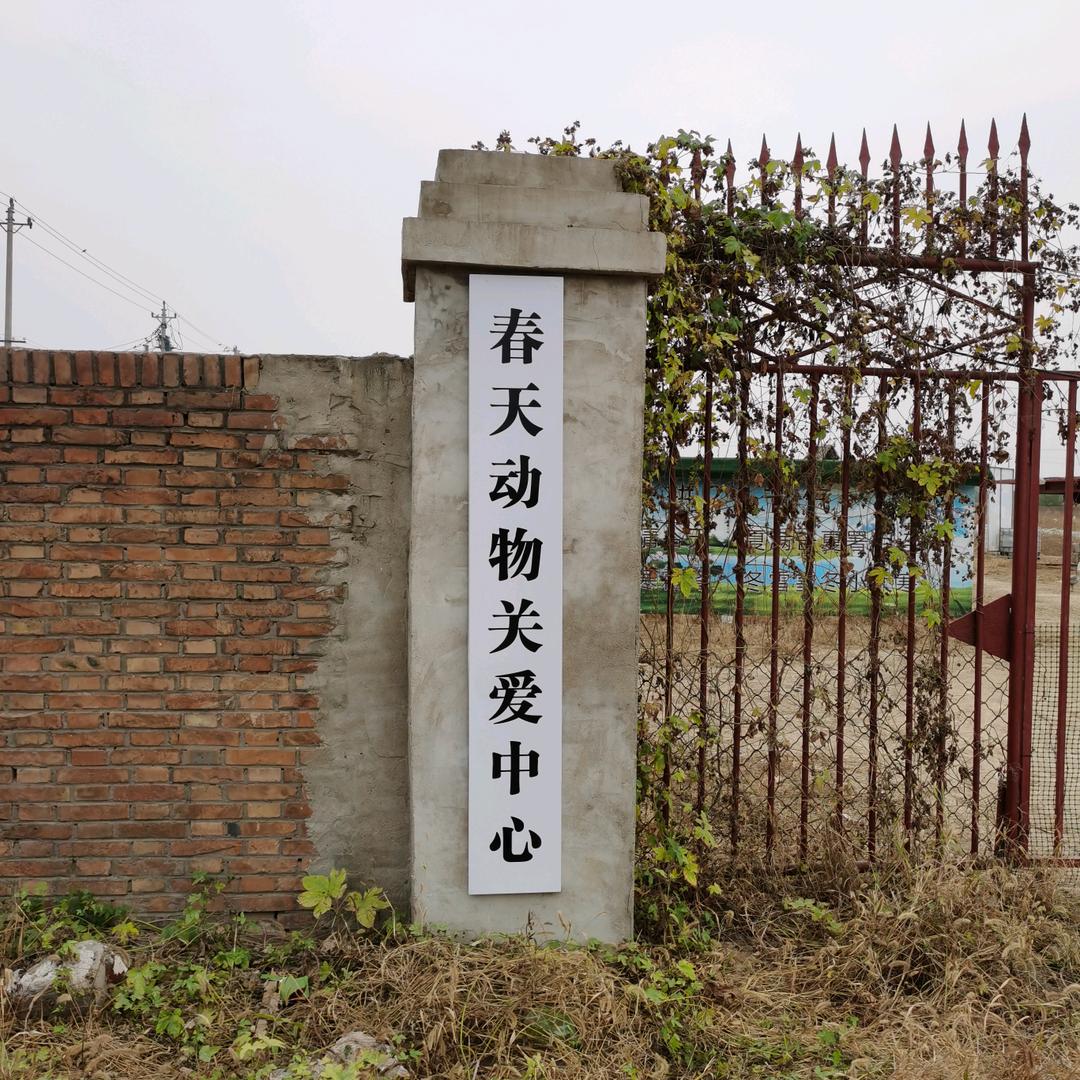 春天动物关爱中心