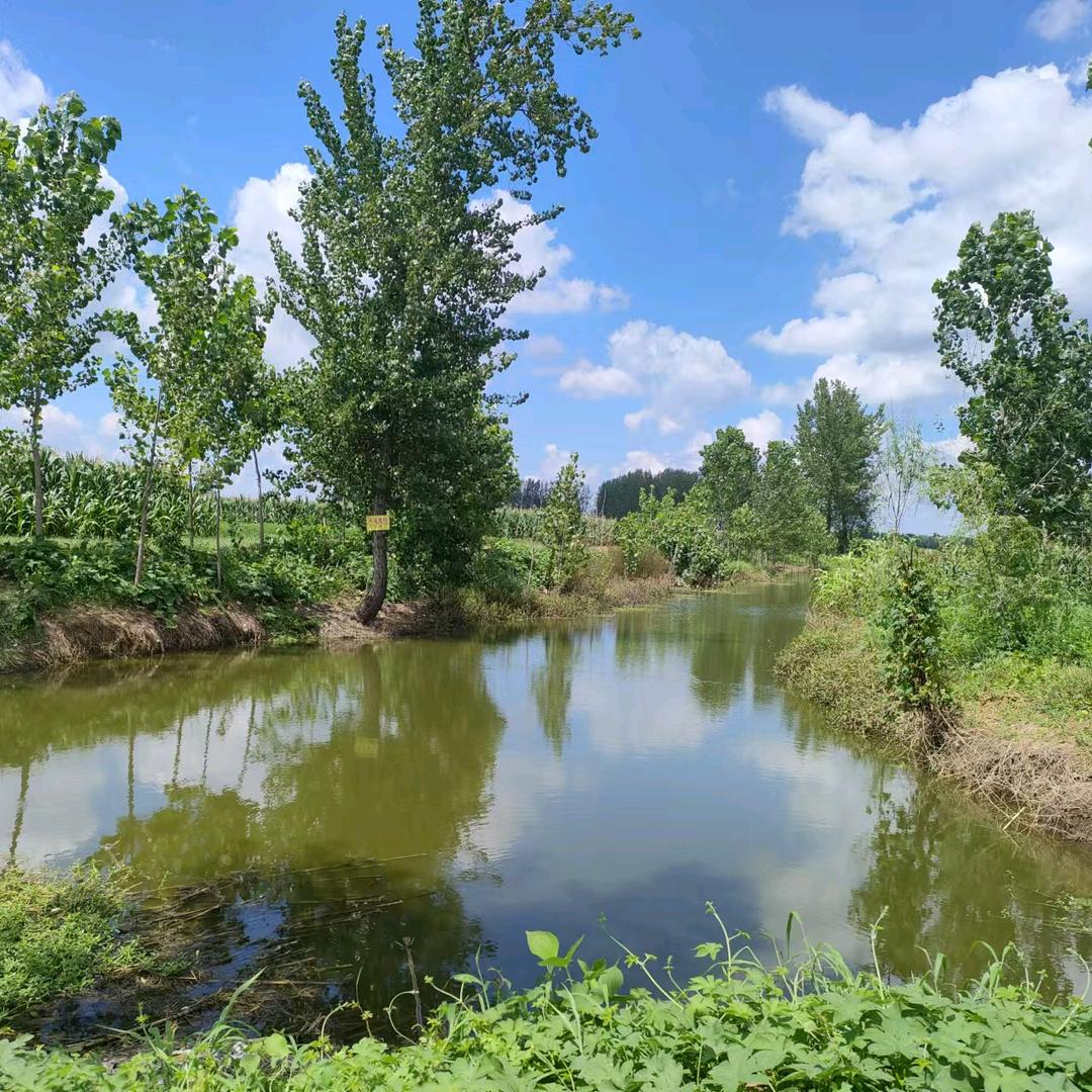 (╭☞•́⍛•̀)╭☞偏爱你(ﾉಥ益ಥ)