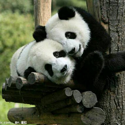 淼不轻～言～～～