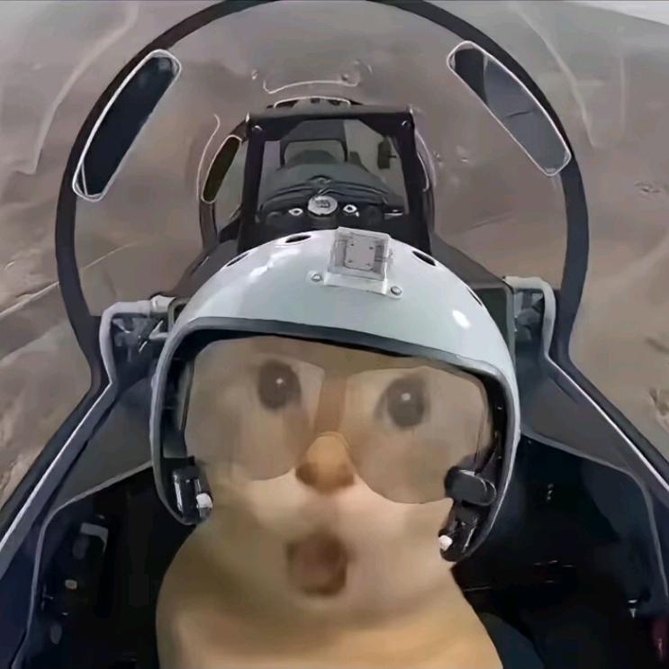 我有精神病你就让让我呗