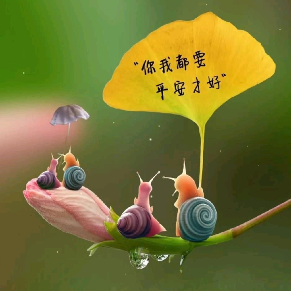 知足常乐，余生一切安好。