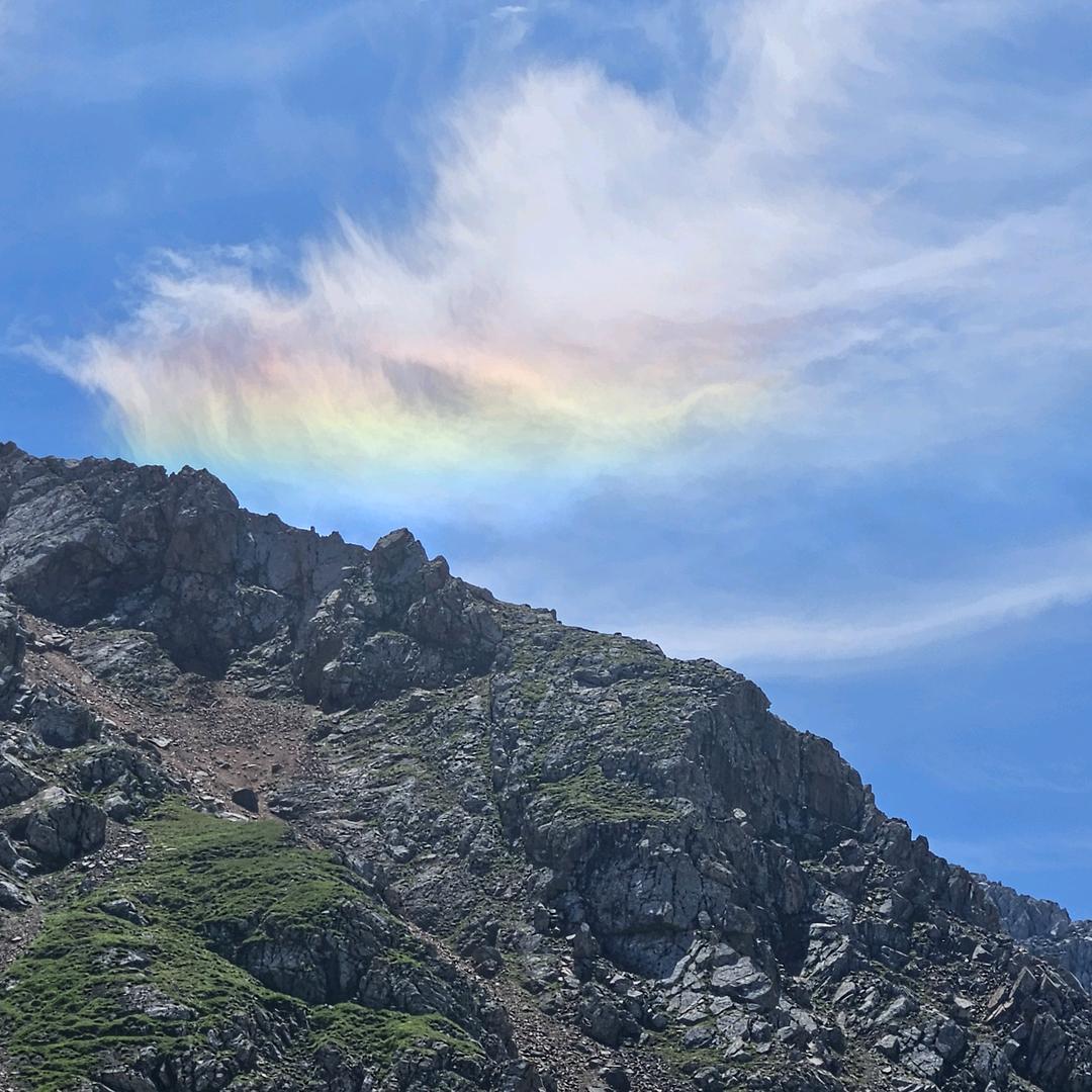 ～吃土豆长大的马铃薯～