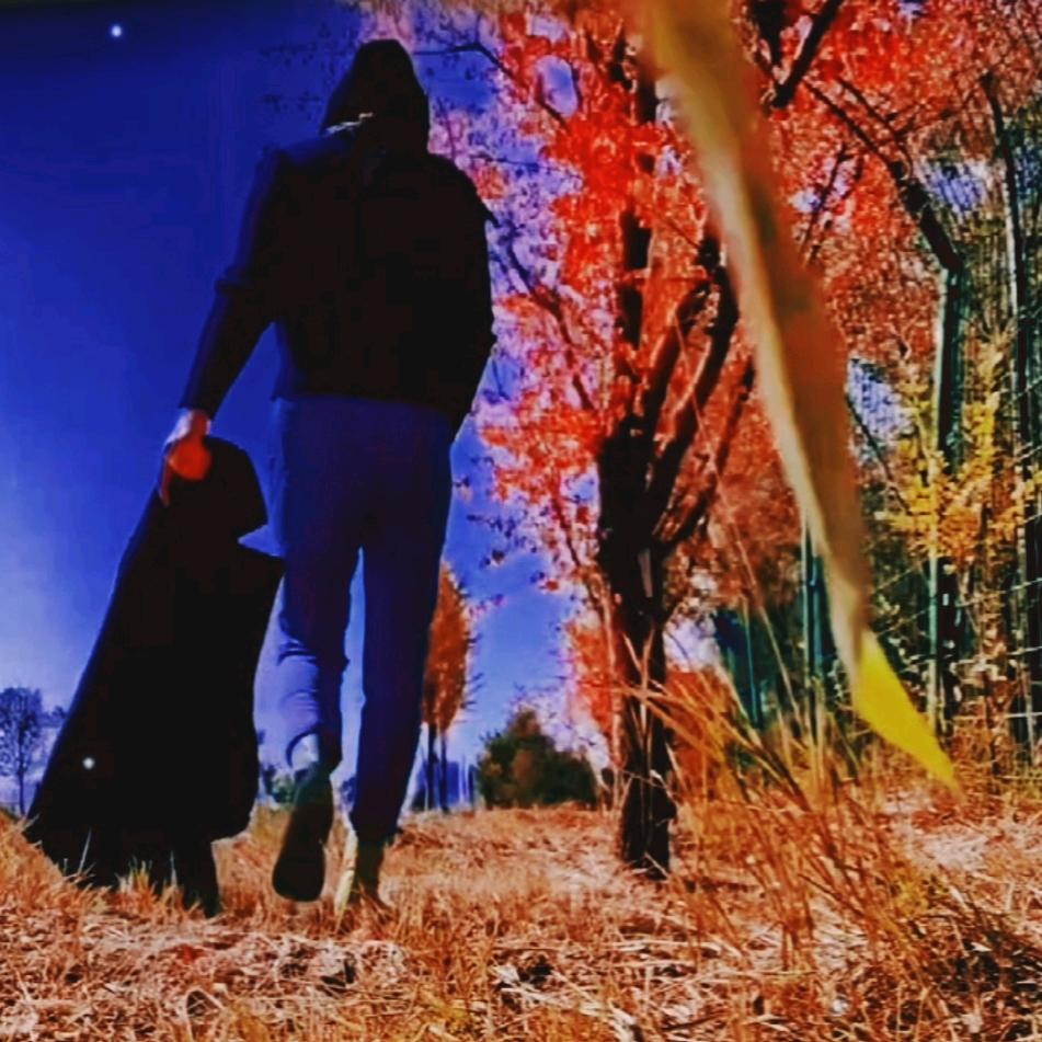 悲☆伤☆的☆疼