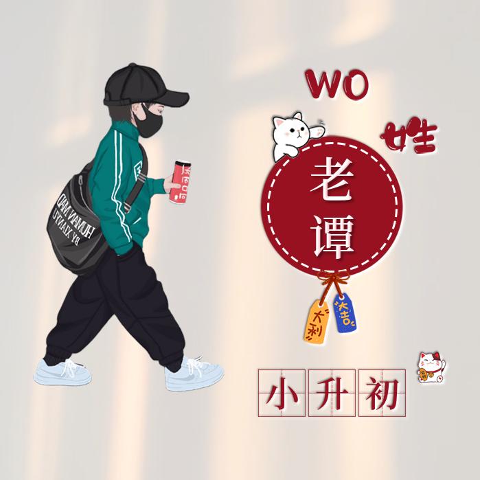 老谭