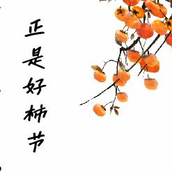 柿子熟了汉服体验馆官方号