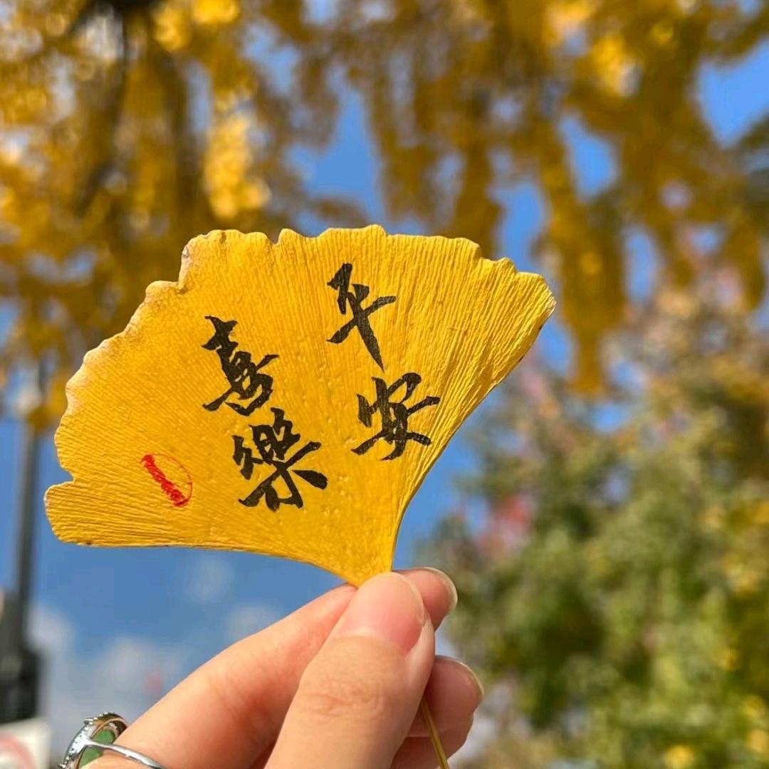 知心姐姐