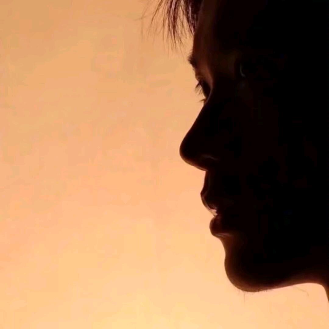 风华(植灵崛起)