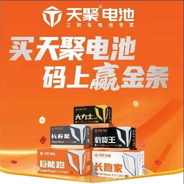 天能高端品__天聚电池桓台小朱总代